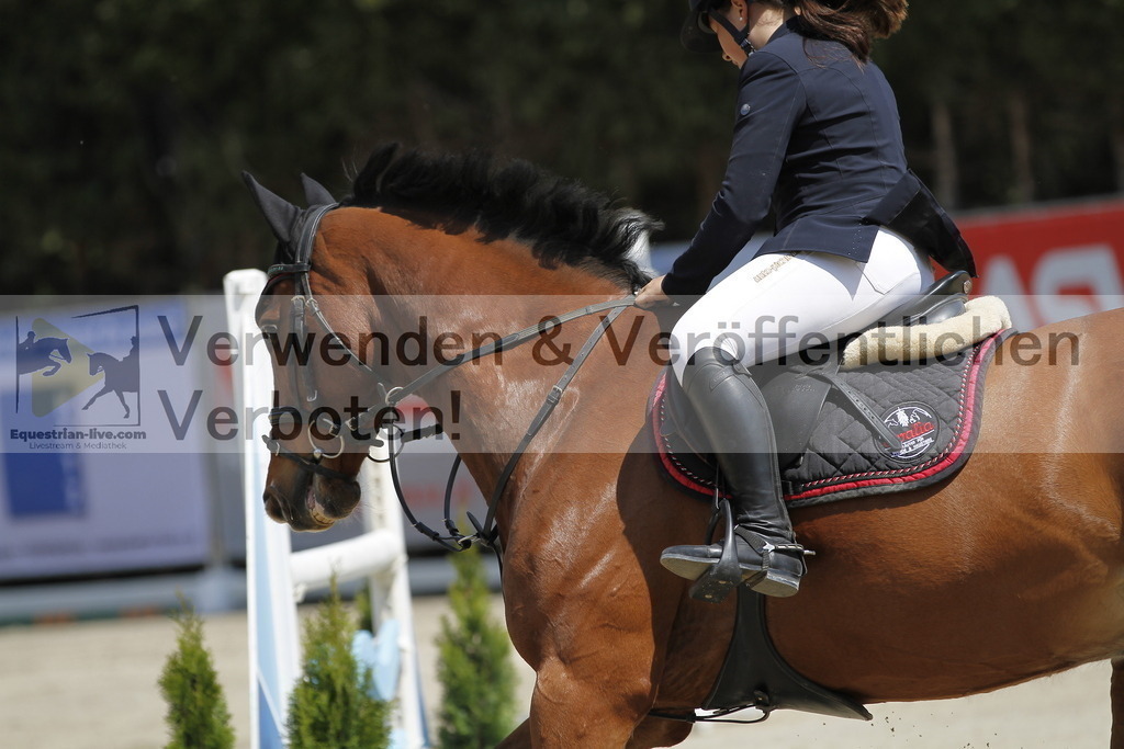 _MG_7394 | equestrian-live-com