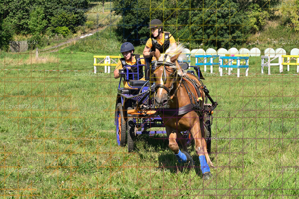 30 Jahre RFV Pulsnitz e.V., Pulsnitz am 09.08.2026 | 30Jahre Reit- und Fahrverein Pulsnitz e.V., Pulsnitz am 08.08.2026Zur 28. breitensportlichen Veranstaltung des RFV Pulsnitz e.V. fanden verschiedene Wettbewerbe in nahezu allen Disziplinen des Pferdesport statt.- Geländefahr-Wettbewerb - Realisiert mit Pictrs.com