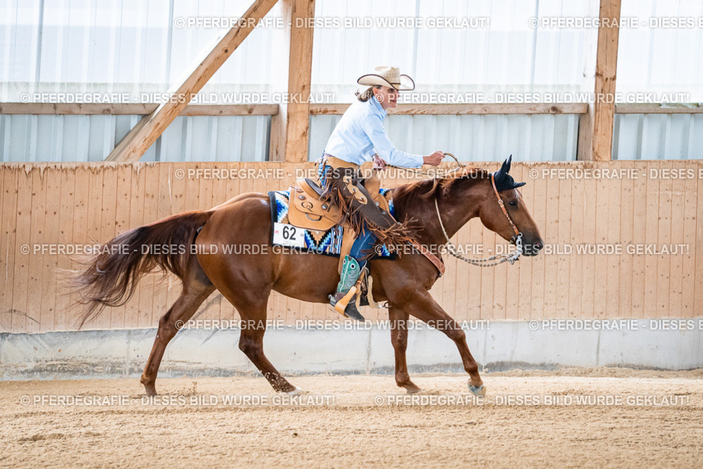 DSC07725 | Pferdegrafie