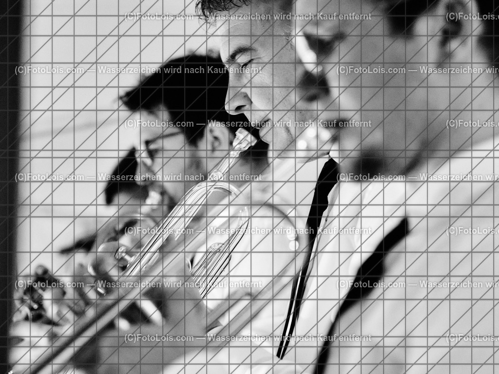 ALP3900_FJ-Sommernachtsball | (C)FotoLois.com, Alois Spandl, Francisco Josephinum SOMMERNACHSBALL der Maturantinnen und Maturanten im Schloß Weinzierl in Wieselburg-Land, Fr 23. Juni 2023.