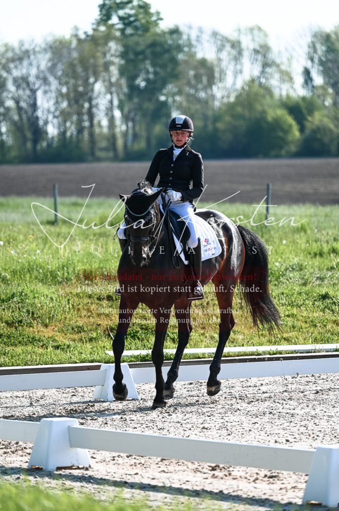 20230514_JK-Röhrsdorf-18-032 | Pferde- und Turnierfotografie in Westsachsen. Pferdeportraits, Auftragszeichnungen und intuitive Kunst.