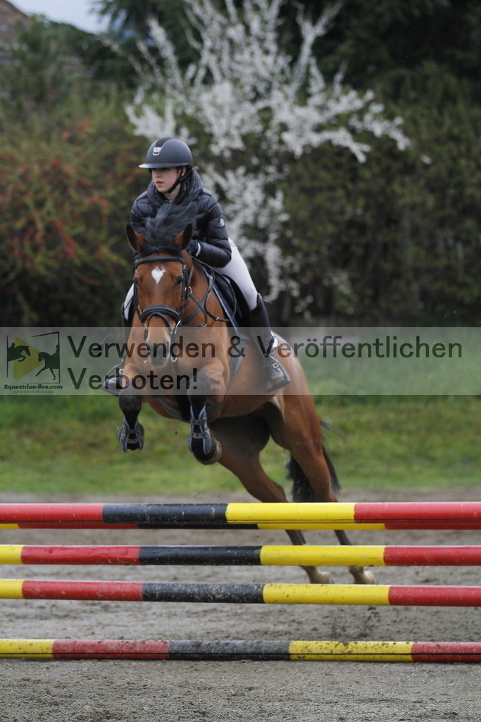 _MG_3584 | equestrian-live-com