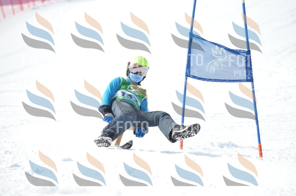 D9290 | holidayphoto