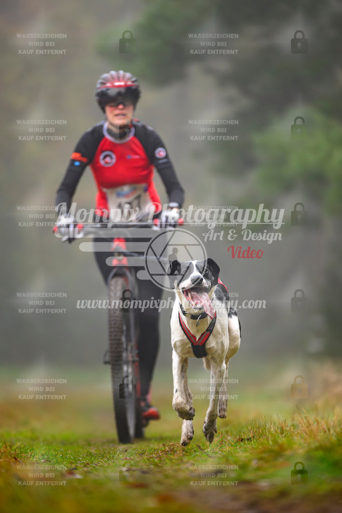 MompixPhotography_Bischwiller2025_Scooter-47 | mompixphotography