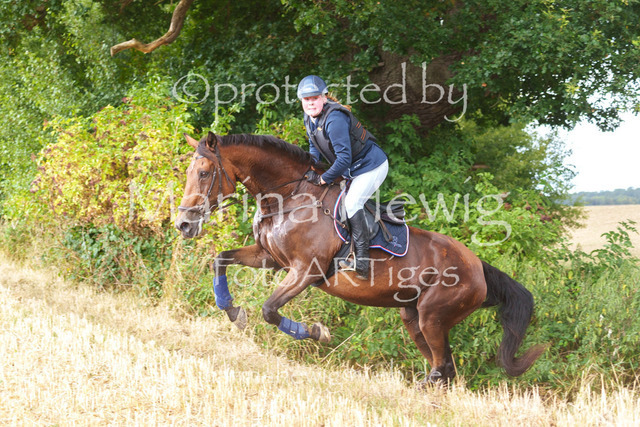Jagd Knoop 26_MarinaHewigMCH02564 | Fotografie, FotoArt, PferdesportArt, Pferdesportfotografie, Landschaftsfotografie, Reisefotografie, Reise, Pferde - Realisiert mit Pictrs.com