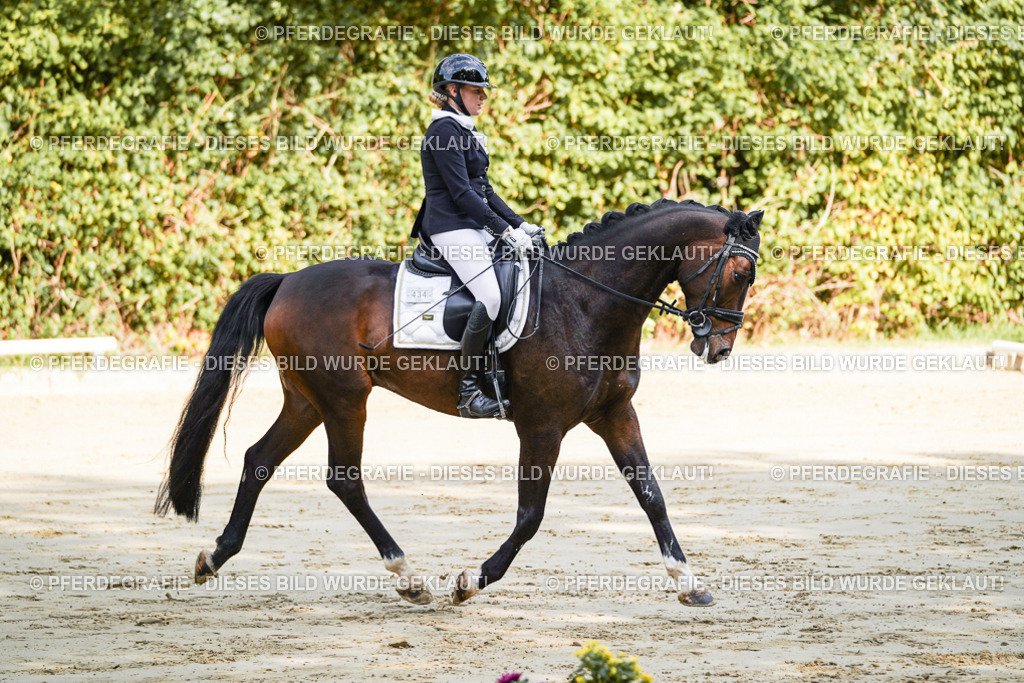 DSC07864 | Pferdegrafie