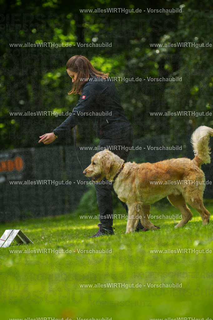 @allesWIRTHgut_Tierfotografie - www.allesWIRTHgut.de - 7R501541 | Professionelle Tierfotografie in Mönchengladbach von Daniel Wirth (allesWIRTHgut). Liebevolle & natürliche Bilder von Hunden & Katzen für unvergessliche Erinnerungen.