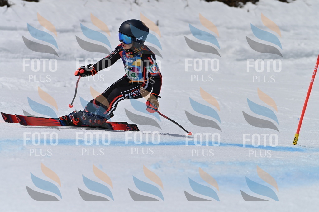 BGV_6229 | holidayphoto