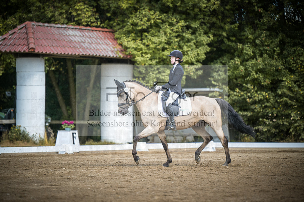 DOS_0648 | Entdecke hochwertige Reitturnierfotos von Foto Oger. Professionell, emotional und authentisch – jetzt Lieblingsmomente im Shop bestellen.Deutschlandweite Turnierfotografie. - Realisiert mit Pictrs.com