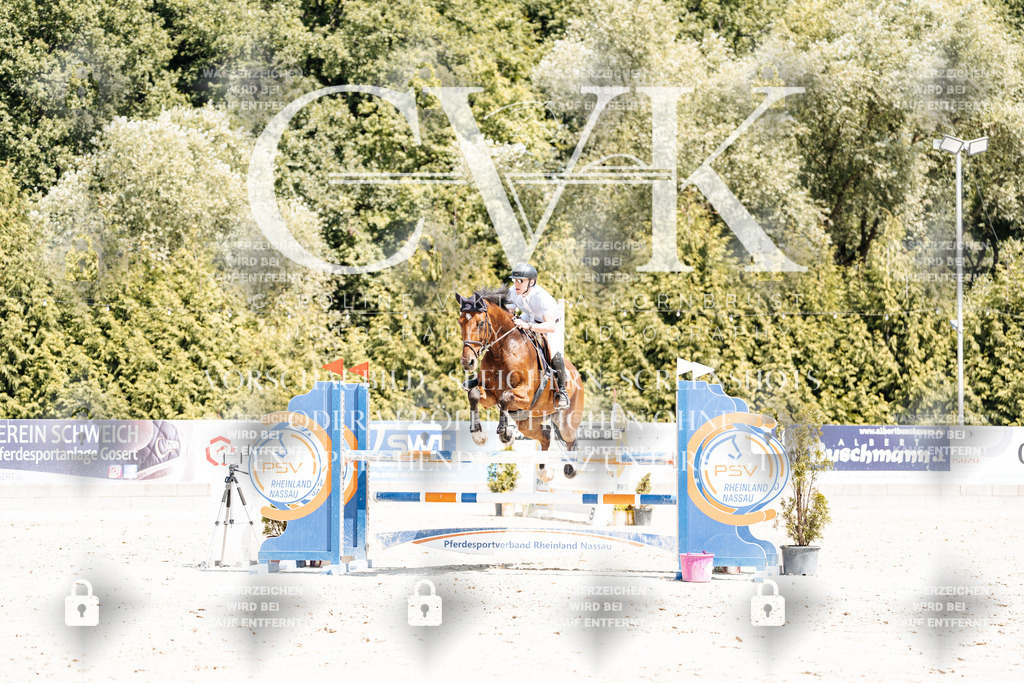 CK900549 | Turnierfotografie Pferdefotografie Trier Rheinland-Pfalz Pferdesport Reitsport Tierfotografie Sportfotografie Pferdevideo Pferdevideografie Equestrianvideography equestrianphotography  - Realisiert mit Pictrs.com
