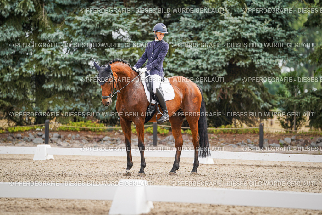 DSC01934 | Pferdegrafie