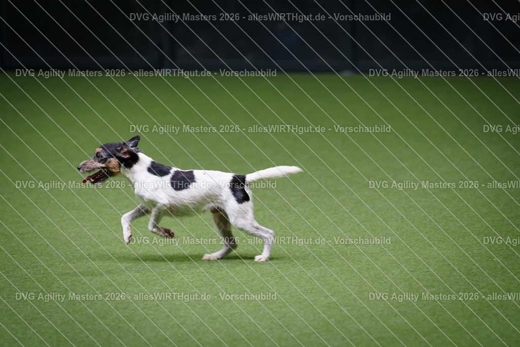 allesWIRTHgut_Tierfotografie-DVG_Agility_Masters_2026-11_09-7R505019 | Professionelle Tierfotografie in Mönchengladbach von Daniel Wirth (allesWIRTHgut). Liebevolle & natürliche Bilder von Hunden & Katzen für unvergessliche Erinnerungen.
