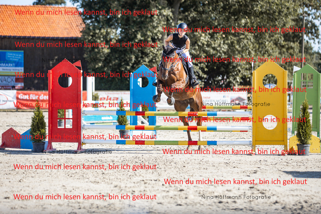 BK1A7297 | Turnierbilder Turnierfotos Nina Hüffmann Turnierfotografie Pferdefotografie Tierzeichnung Haustierzeichnung Pferdezeichnung Hundezeichnung Videograf  - Realisiert mit Pictrs.com