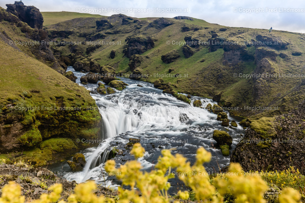 Island Gent Reykjavik-7873 | Fotos und Fotoprodukte - Realisiert mit Pictrs.com