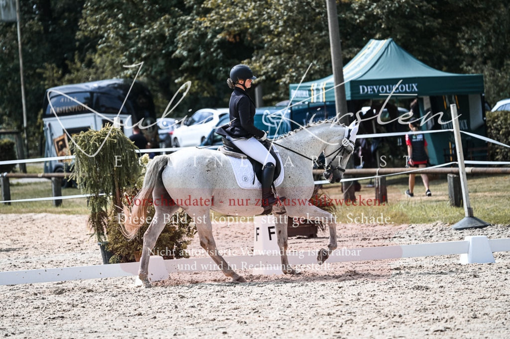 DSC_5309 | Pferde- und Turnierfotografie in Westsachsen. Pferdeportraits, Auftragszeichnungen und intuitive Kunst.