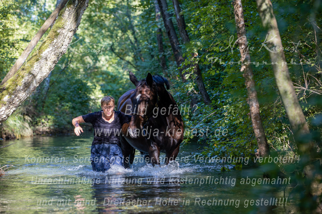 Auswahl_Photographie_Nadja_Kienast__F6A6191-Verbessert-RR | Ich biete Ihnen einzigartige und individuelle Fotoshootings mit Ihren Tieren.
In individuellen Coachings lernen Sie, wie sie von Ihrem Pferd, Ihrer Katze, Ihrem Hund oder einfach Ihrem persönlichen Lieblingstier eindrucksvolle Fotos machen können.
