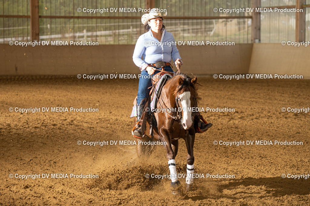 LAU01441 | dv-media-shop - Realisiert mit Pictrs.com