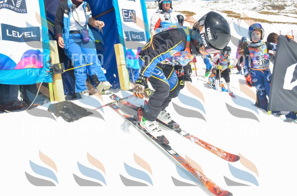 _ELE6742 | holidayphoto