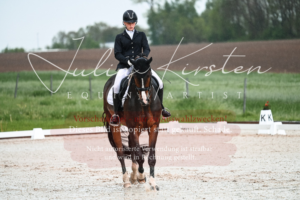 DSC_4134 | Pferde- und Turnierfotografie in Westsachsen. Pferdeportraits, Auftragszeichnungen und intuitive Kunst.