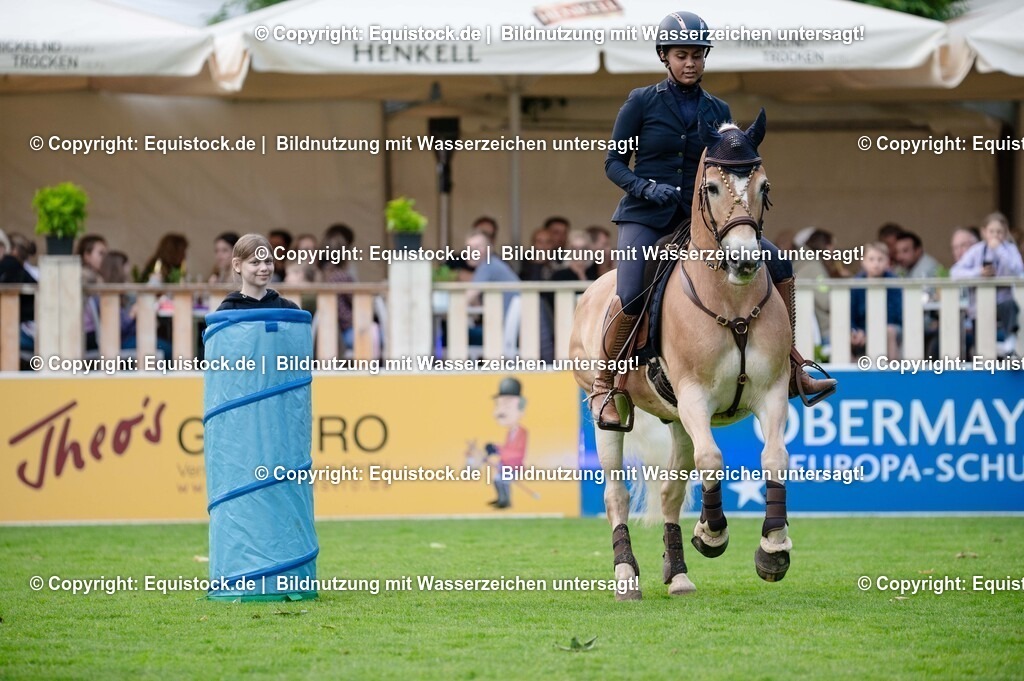 20250606_Lange-Pferdenacht_0309 | Foto: Thomas Hartig