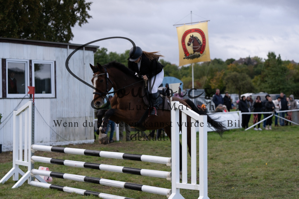 A7V06444 | Pferdefotograf