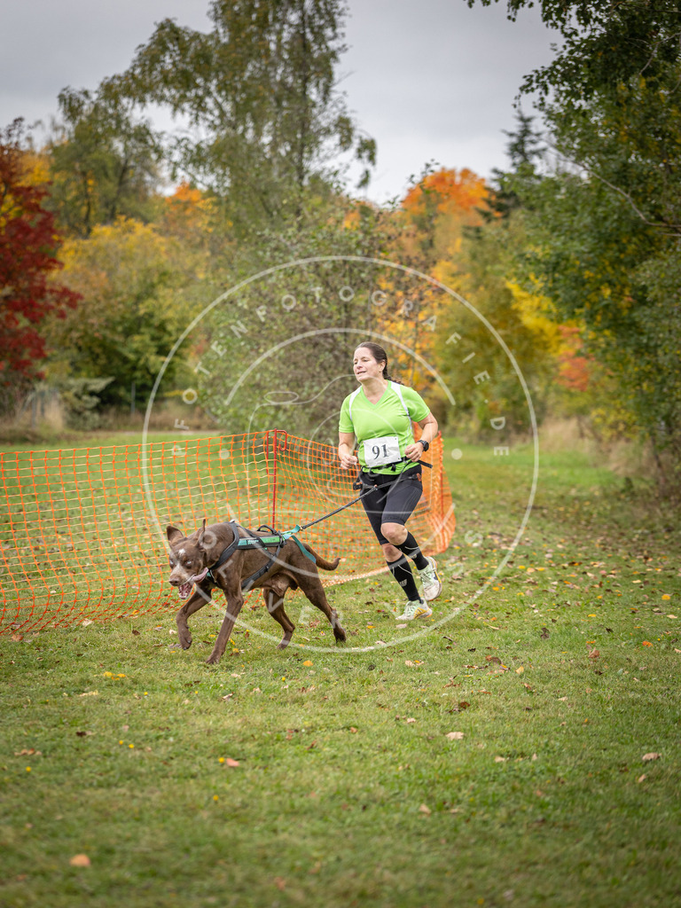 Pfotenfotografie_DV3A3277 | Hundefotografie, Tierfotograf, Pfotenfotografie, Fotoshooting Hund, Hunde Portrait, Hundesport, Hundeportraits, Heideshooting, Hunde, Sportfotograf, Hundefotograf, Turnierhundsport, THS,  - Realisiert mit Pictrs.com