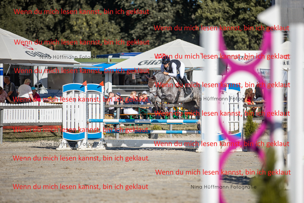 BK1A7525 | Turnierbilder Turnierfotos Nina Hüffmann Turnierfotografie Pferdefotografie Tierzeichnung Haustierzeichnung Pferdezeichnung Hundezeichnung Videograf  - Realisiert mit Pictrs.com
