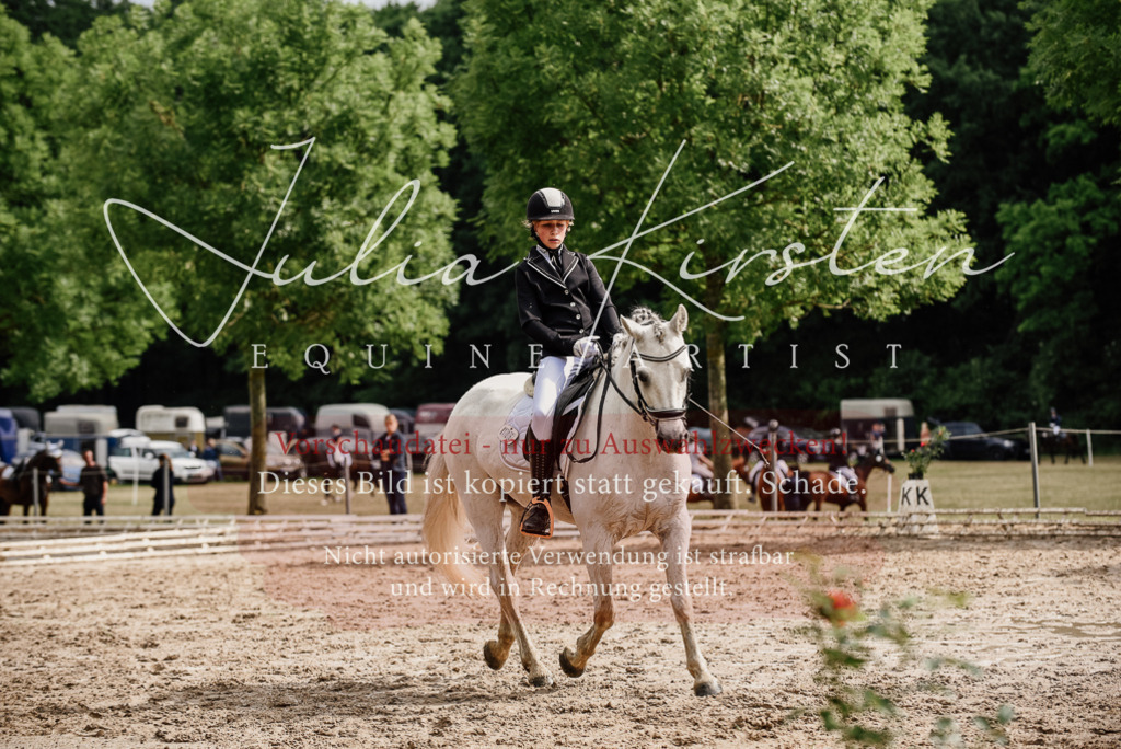 DSC_9452 | Pferde- und Turnierfotografie in Westsachsen. Pferdeportraits, Auftragszeichnungen und intuitive Kunst.
