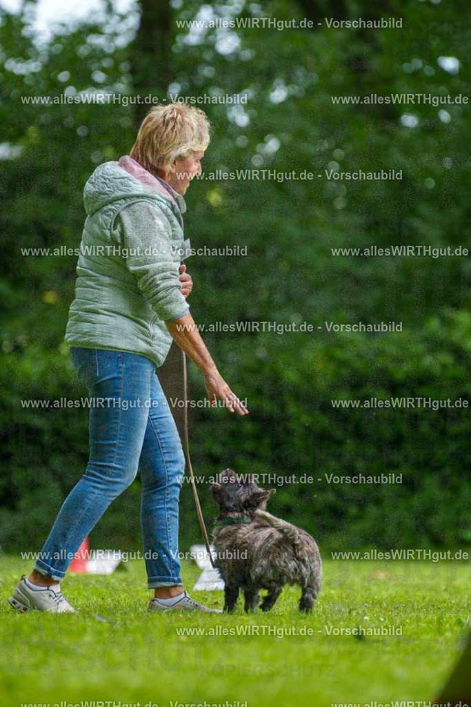 @allesWIRTHgut_Tierfotografie - www.allesWIRTHgut.de - 7R504510 | Professionelle Tierfotografie in Mönchengladbach von Daniel Wirth (allesWIRTHgut). Liebevolle & natürliche Bilder von Hunden & Katzen für unvergessliche Erinnerungen.