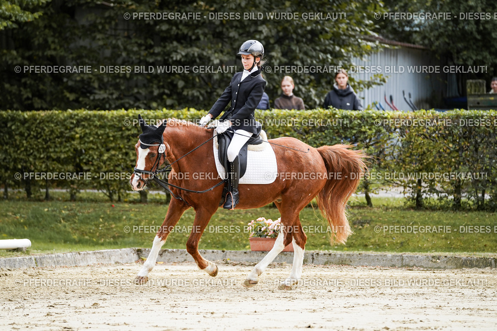 DSC05425 | Pferdegrafie