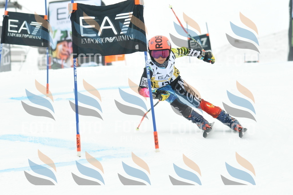 DSC_8502 | holidayphoto