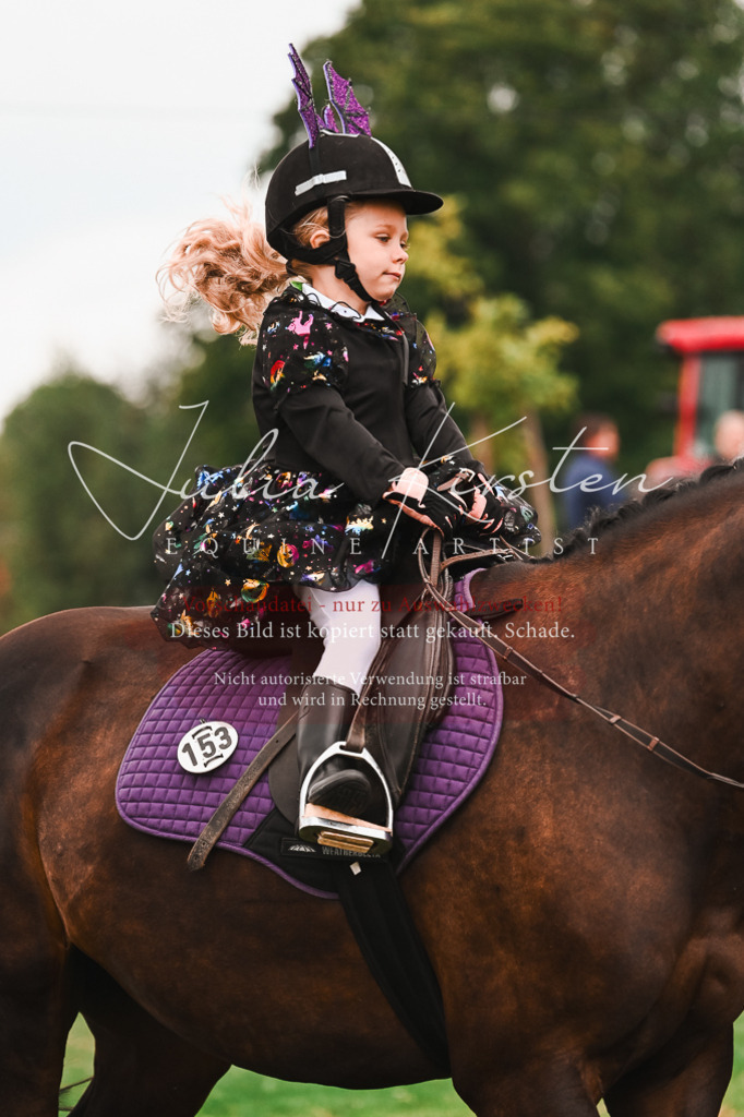 DSC_7614 | Pferde- und Turnierfotografie in Westsachsen. Pferdeportraits, Auftragszeichnungen und intuitive Kunst.
