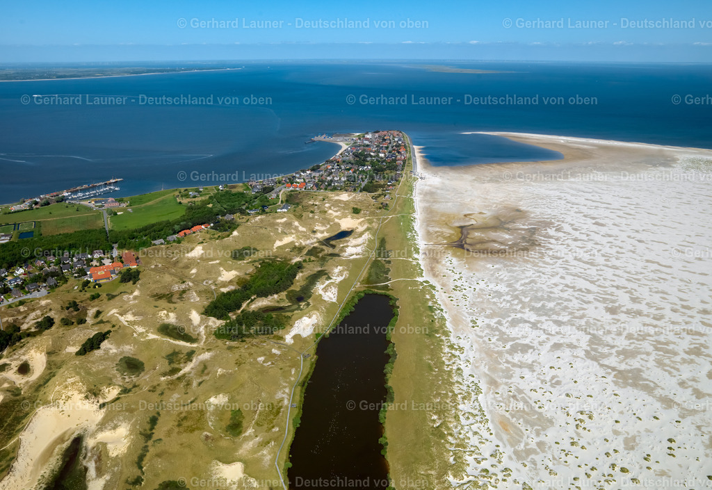 3091333 | Wittdün auf Amrum, Nationalpark Schleswig-Holsteinisches Wattenmeer