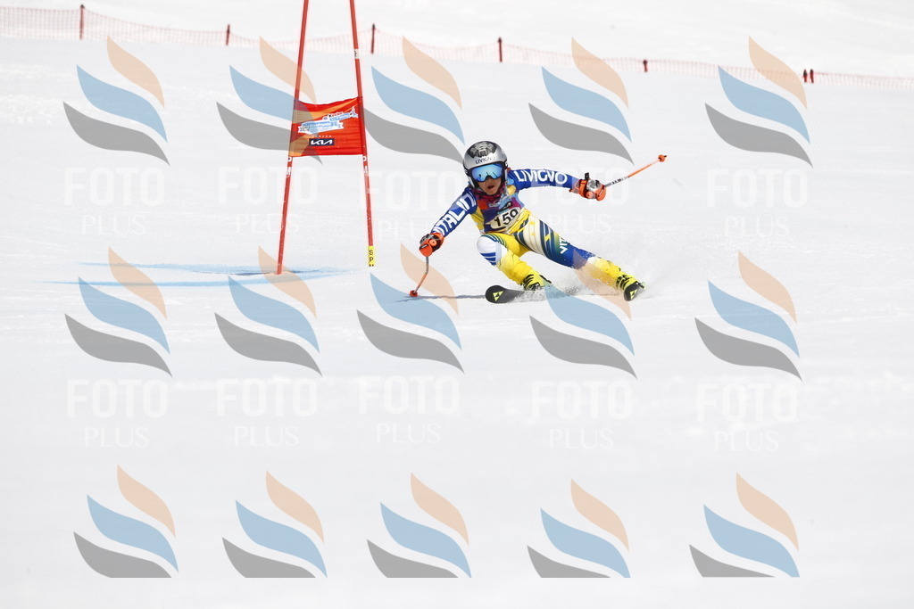 _U3G4287 | holidayphoto