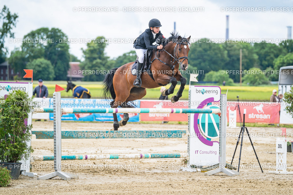 DSC04581 | Pferdegrafie