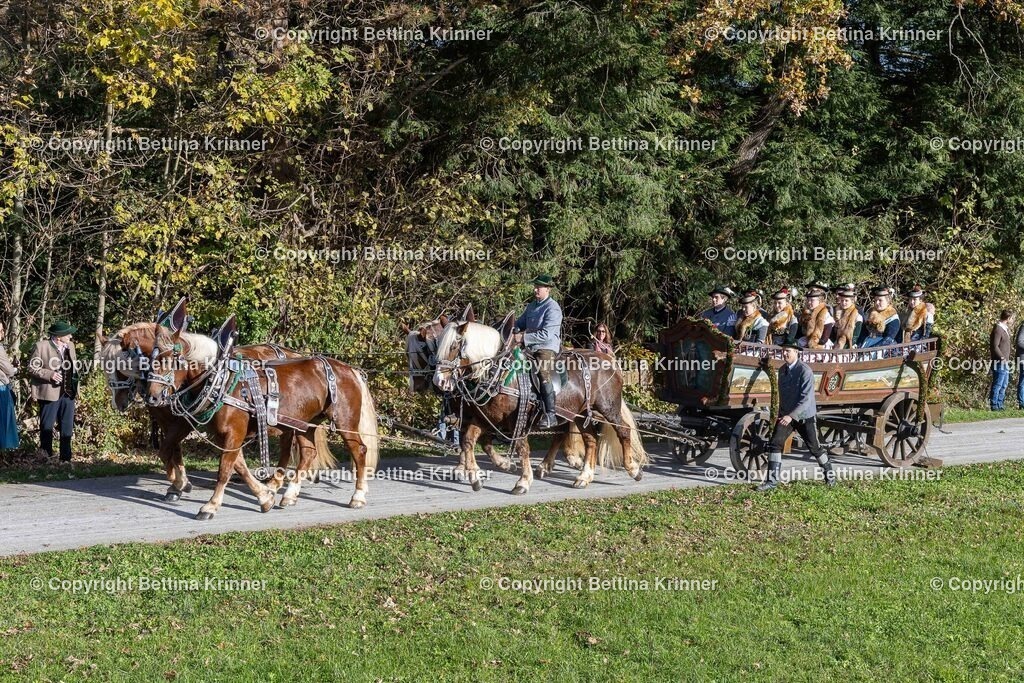 LBT24-493 | foto-bettina-krinner - Realisiert mit Pictrs.com