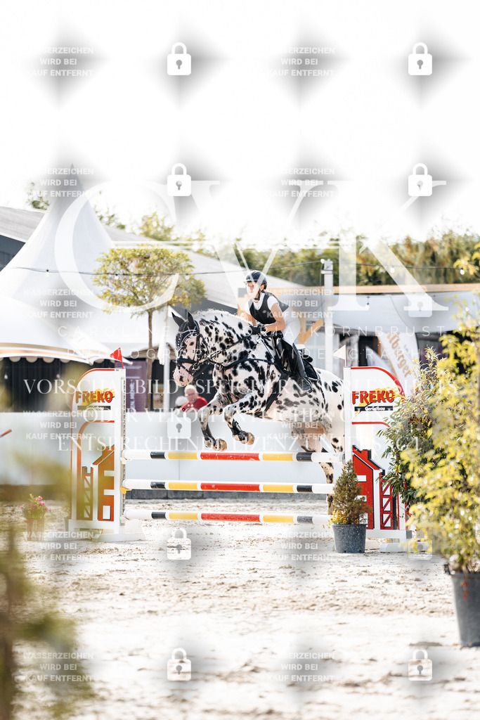 CK905965 | Turnierfotografie Pferdefotografie Trier Rheinland-Pfalz Pferdesport Reitsport Tierfotografie Sportfotografie Pferdevideo Pferdevideografie Equestrianvideography equestrianphotography  - Realisiert mit Pictrs.com