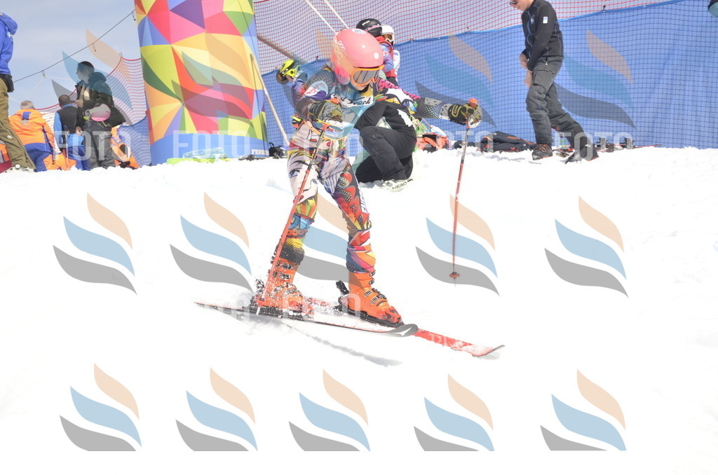 _ELE9285 | holidayphoto