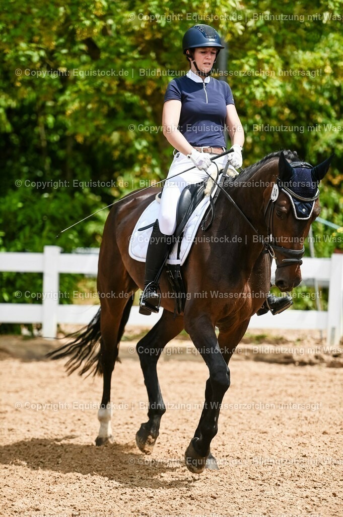 20230715_05_Dressurprüfung Kl.A++_0199 | equistock