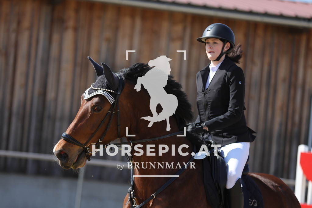 0P6A6899 | Willkommen bei Brunnmayr - Design & Fotografie – Ihrem Spezialisten für Reitturniere und Pferdeveranstaltungen in Oberösterreich, Salzburg und Bayern! Seit über 17 Jahren sind wir leidenschaftlich dabei.