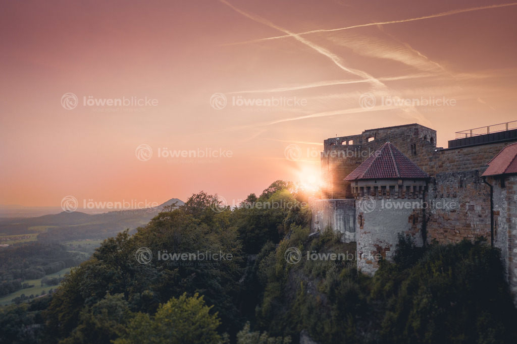 Burg Rechberg im Sommer | löwenblicke | shop