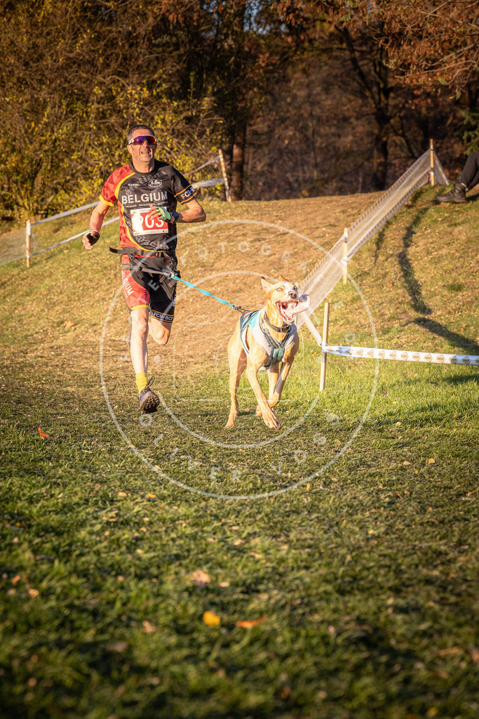 CaniXpix_0L8A1373 | Hundefotografie, Tierfotograf, Pfotenfotografie, Fotoshooting Hund, Hunde Portrait, Hundesport, Hundeportraits, Heideshooting, Hunde, Sportfotograf, Hundefotograf, Turnierhundsport, THS,  - Realisiert mit Pictrs.com