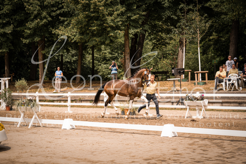 3.Fr00206 | Leoni Ertmer Photography - Realisiert mit Pictrs.com