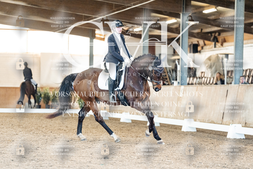 CK908485 | Turnierfotografie Pferdefotografie Trier Rheinland-Pfalz Pferdesport Reitsport Tierfotografie Sportfotografie Pferdevideo Pferdevideografie Equestrianvideography equestrianphotography  - Realisiert mit Pictrs.com