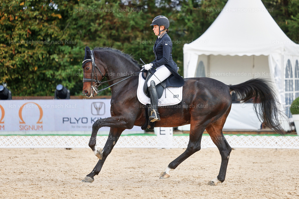 07-007-DRESSUR  S___  -StoibPH-5021 | working equitationturnier fotograf videograf stoibphotography marixx film working equitation deutschland reitsport turnierfotografie eventfotografie equestrian events