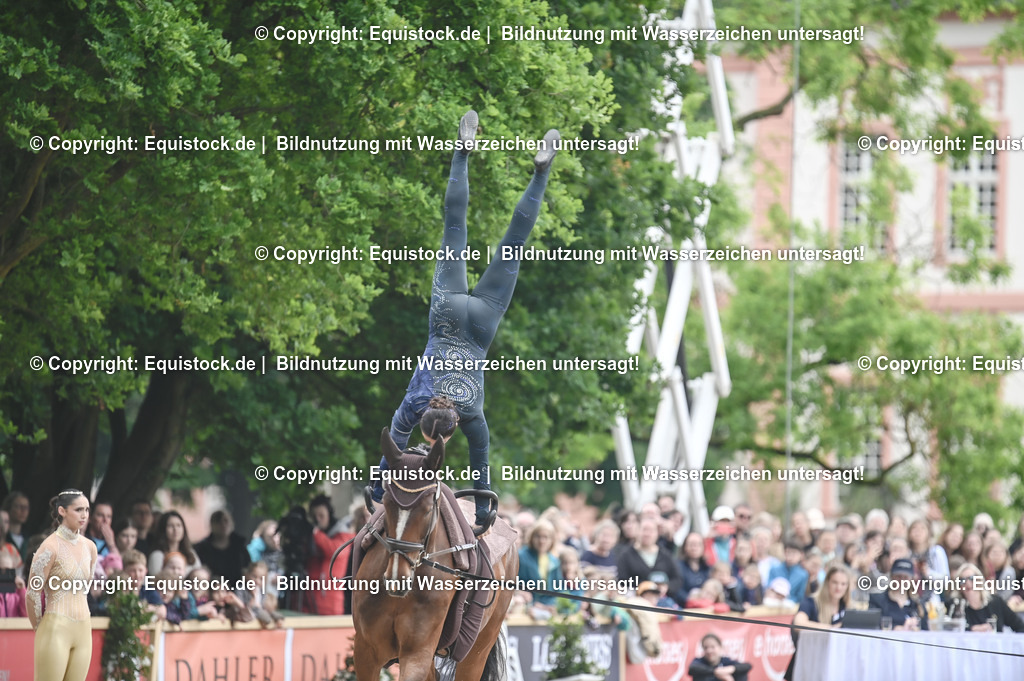 20240519_Voltige_0151 | Foto: Thomas Hartig