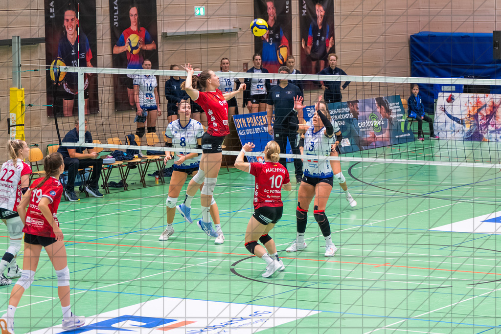 2. VBLF Nord 25/26 | Spiel 4017 | VC Osnabrück vs. Potsdam II | Braitsch Ronja (SC Potsdam II #3)//  25.10.25: 2. VBLF Nord 25/26 | Spiel 4017 | VC Osnabrück vs. Potsdam II / Osnabrück / Deutschland  //   CREDIT:www.bullenfotos.de, Martin König, Hörner Weg 40, D-49078 Osnabrück, +4917663732967 // Nutzung und Weitergabe nur zu den vereinbarten Zwecken. Presseanfragen an Ersteller. Alle Rechte beim Ersteller. Honorierung nach MFM. - Realisiert mit Pictrs.com