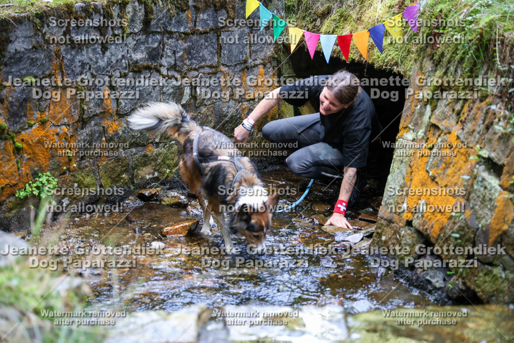 Dog Paparazzi -  TH 26-481 | Dog Paparazzi Jeanette Grottendiek Fotografie & Videografie - Realisiert mit Pictrs.com