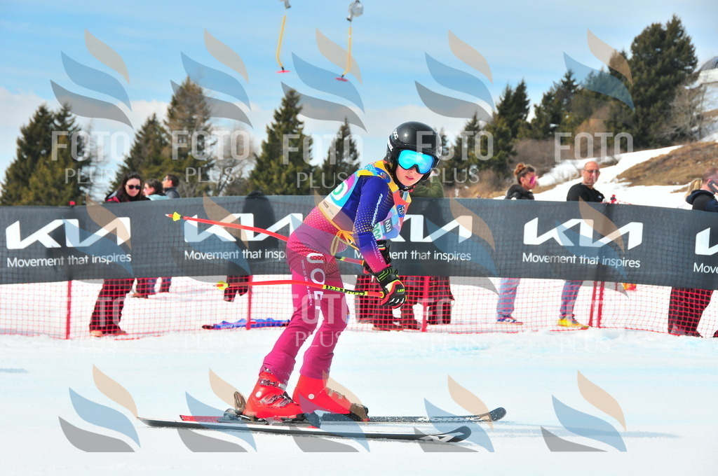 DSC_2039 | holidayphoto