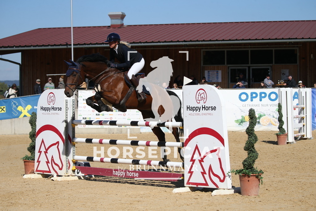 DL2Q2770 | Willkommen bei Brunnmayr - Design & Fotografie – Ihrem Spezialisten für Reitturniere und Pferdeveranstaltungen in Oberösterreich, Salzburg und Bayern! Seit über 17 Jahren sind wir leidenschaftlich dabei.